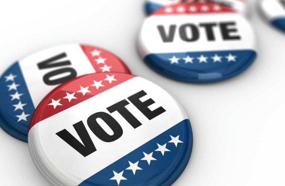 East Cobb Primary Election Guide Candidates And Races Where To Vote