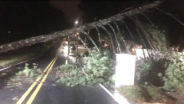 East Cobb traffic/weather update: Paper Mill Road reopens after downed ...