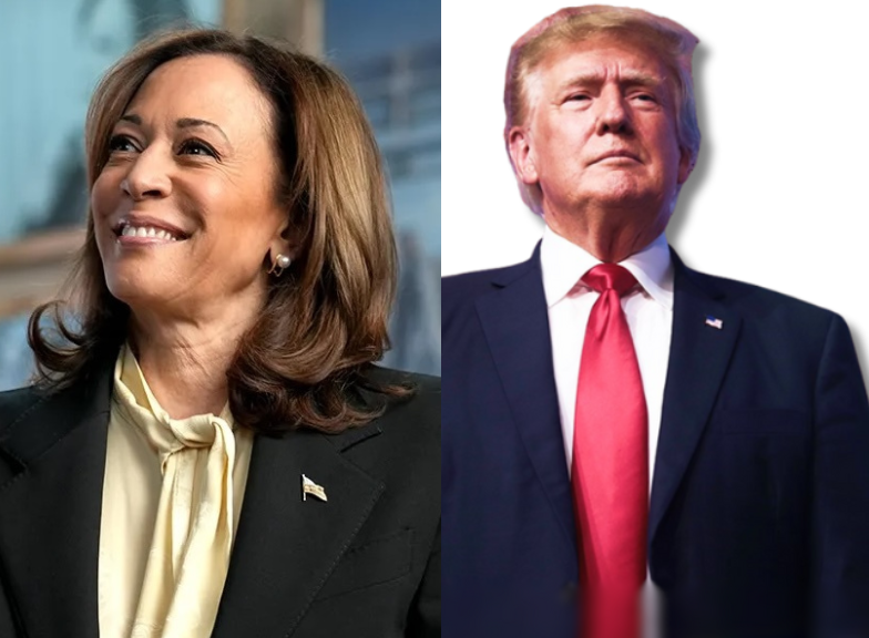 East Cobb voters prefer Trump but Harris makes it close East Cobb News